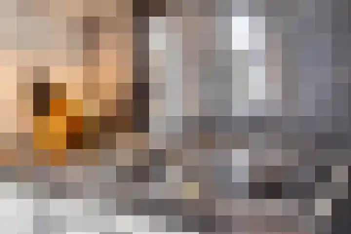 Opaalweg 36 Oss thumbnail 8