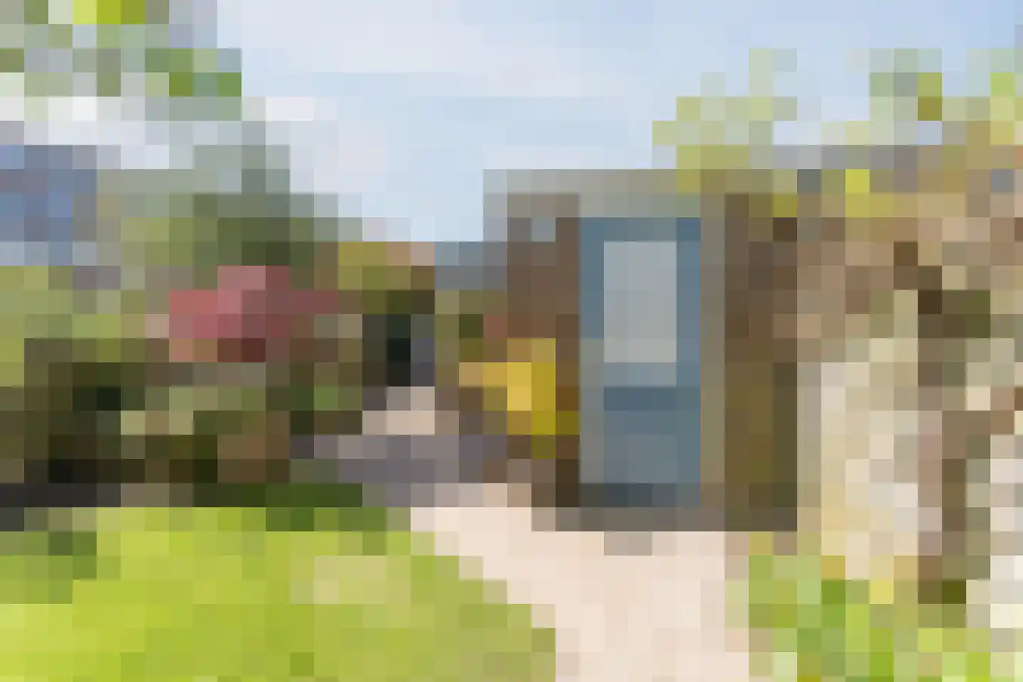 Opaalweg 49 Utrecht thumbnail 27