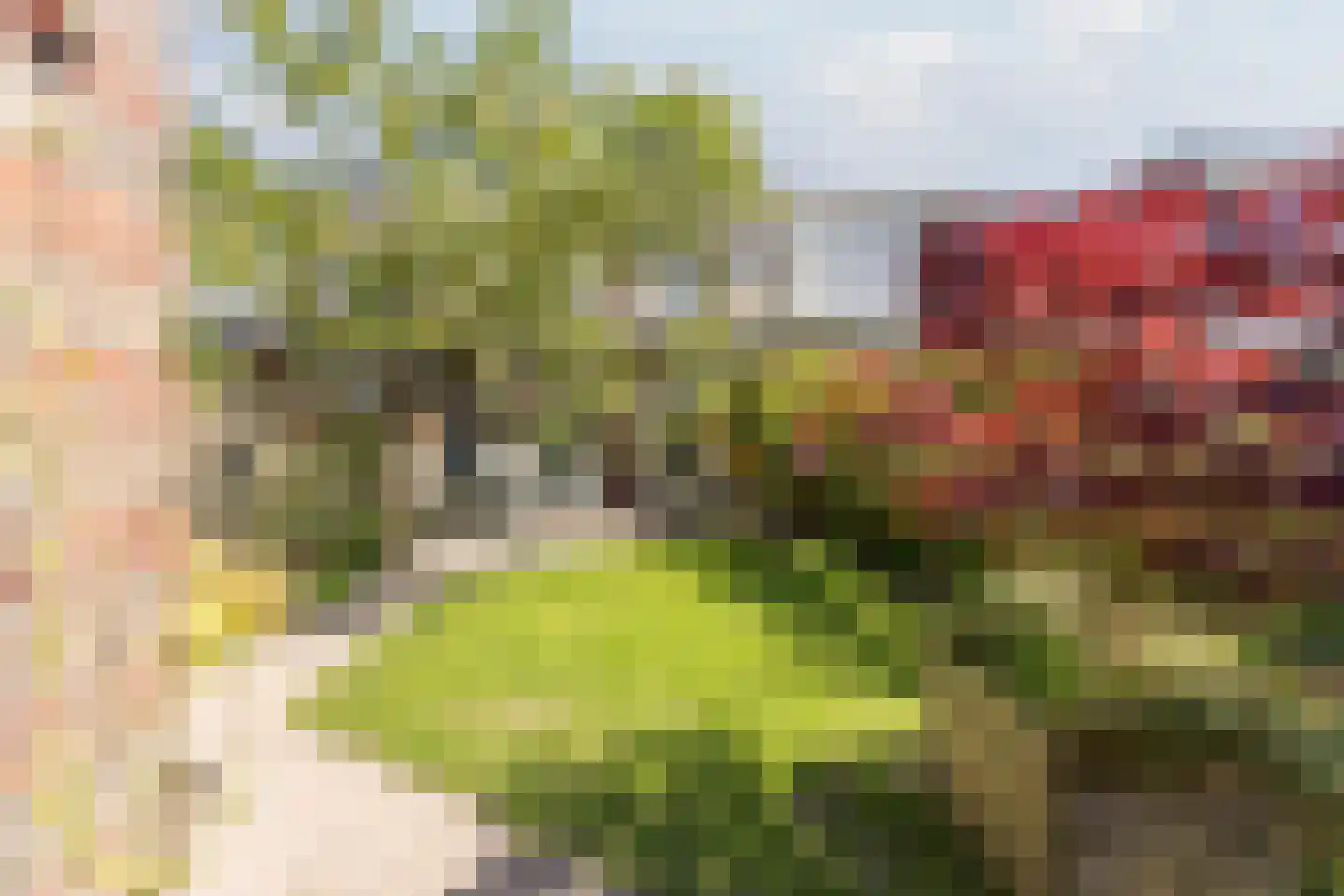 Opaalweg 49 Utrecht thumbnail 4