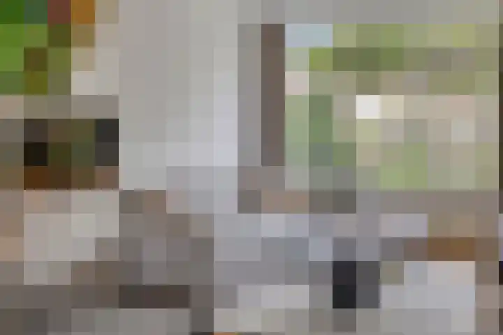 Opaalweg 52 Oss thumbnail 11
