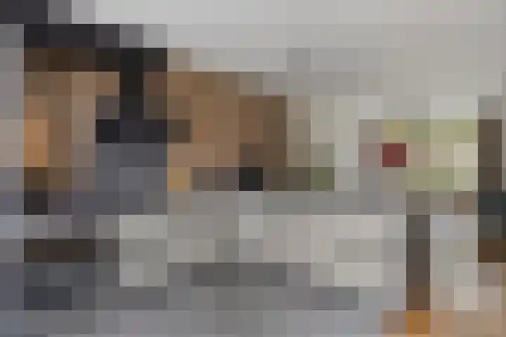 Opaalweg 52 Oss thumbnail 14