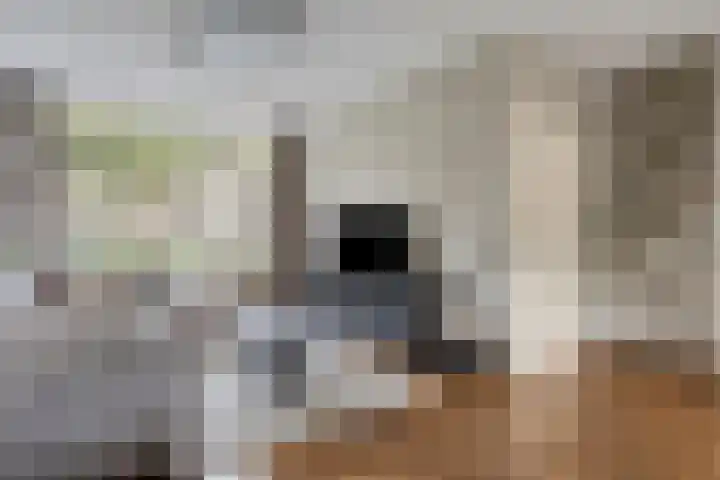 Opaalweg 52 Oss thumbnail 15