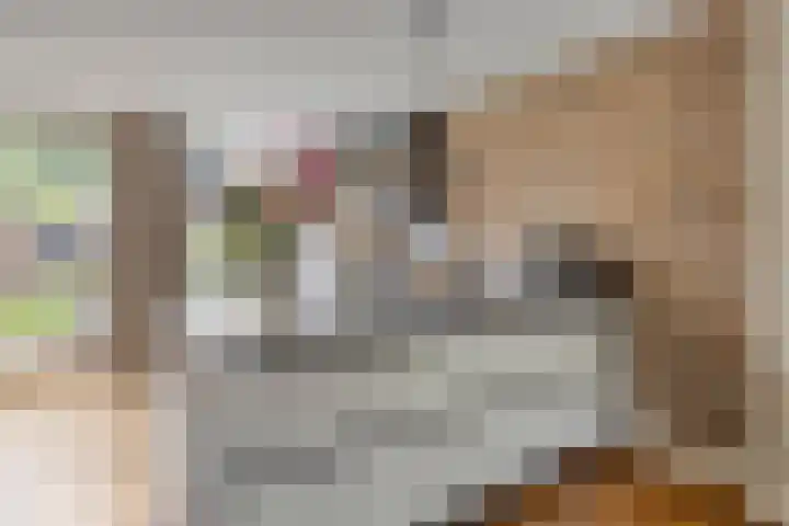 Opaalweg 52 Oss thumbnail 16