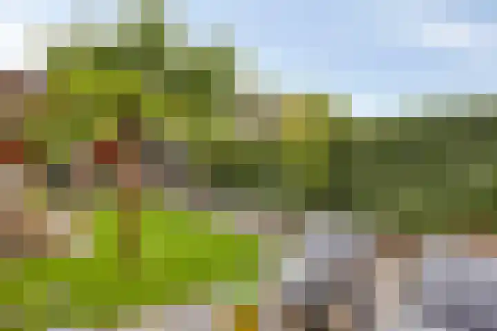 Opaalweg 52 Oss thumbnail 4