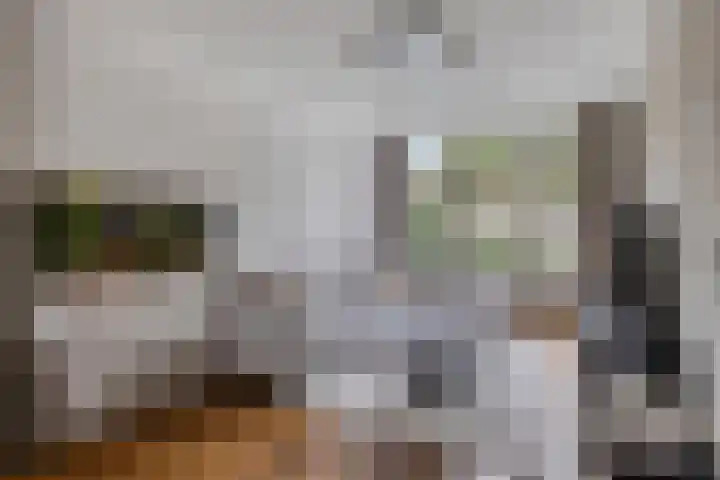 Opaalweg 52 Oss thumbnail 9