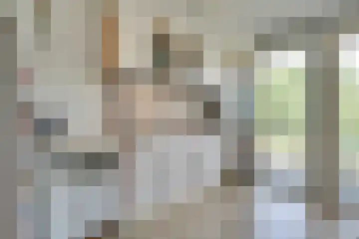 Opaalweg 79 Utrecht thumbnail 13