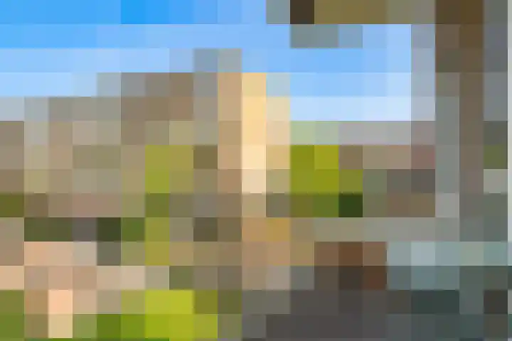 Opaalweg 79 Utrecht thumbnail 26