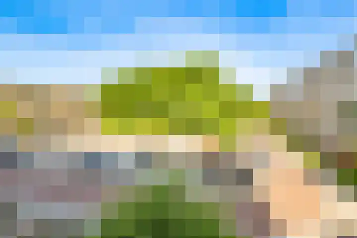 Opaalweg 79 Utrecht thumbnail 29