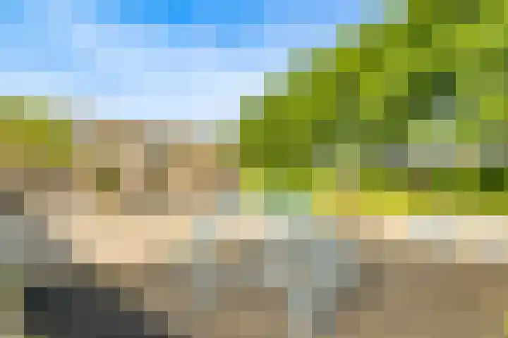 Opaalweg 79 Utrecht thumbnail 32