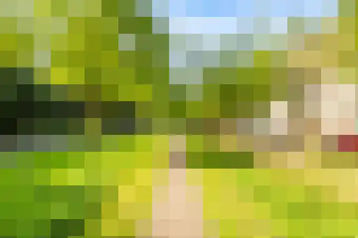 Opaalweg 79 Utrecht thumbnail 35