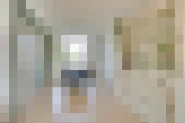 Opaalweg 79 Utrecht thumbnail 8