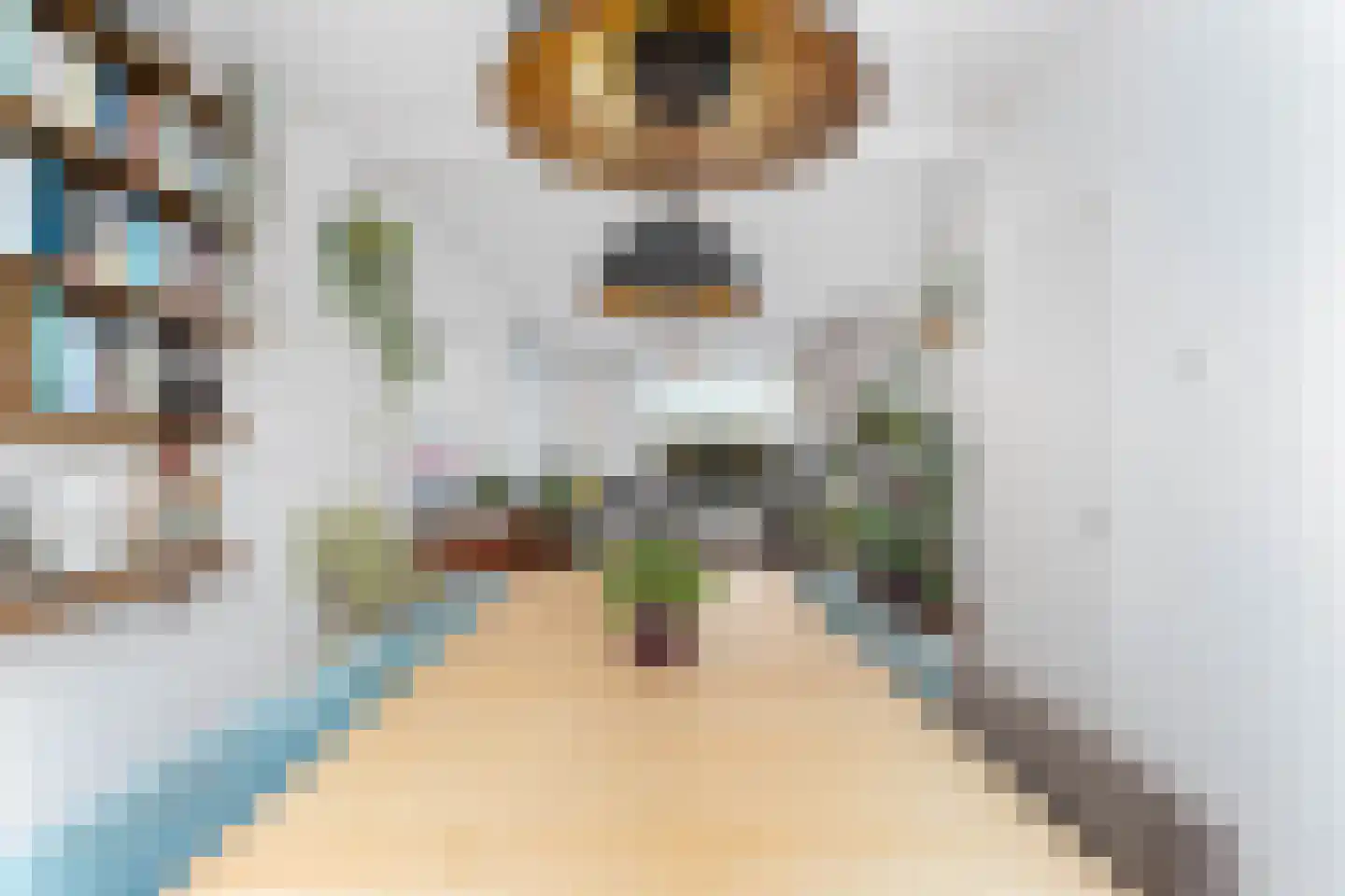 Opaalweg 87 Utrecht thumbnail 7