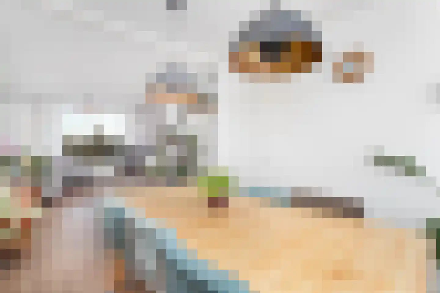 Opaalweg 87 Utrecht thumbnail 8
