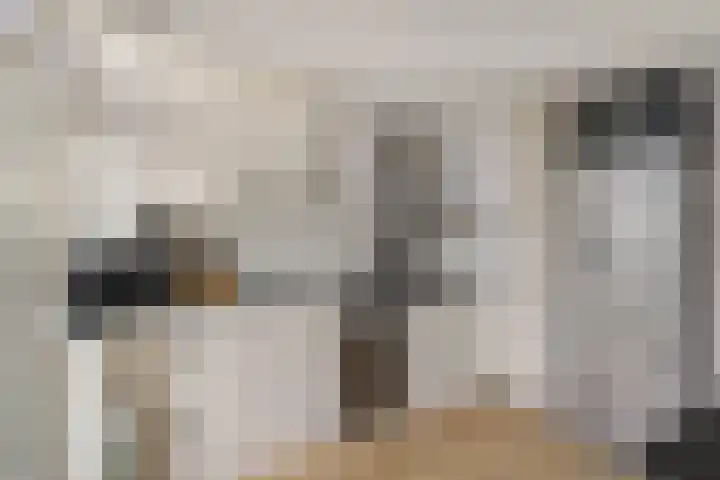 Opaalweg 89 Utrecht thumbnail 14