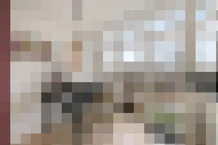 Opaalweg 89 Utrecht thumbnail 15