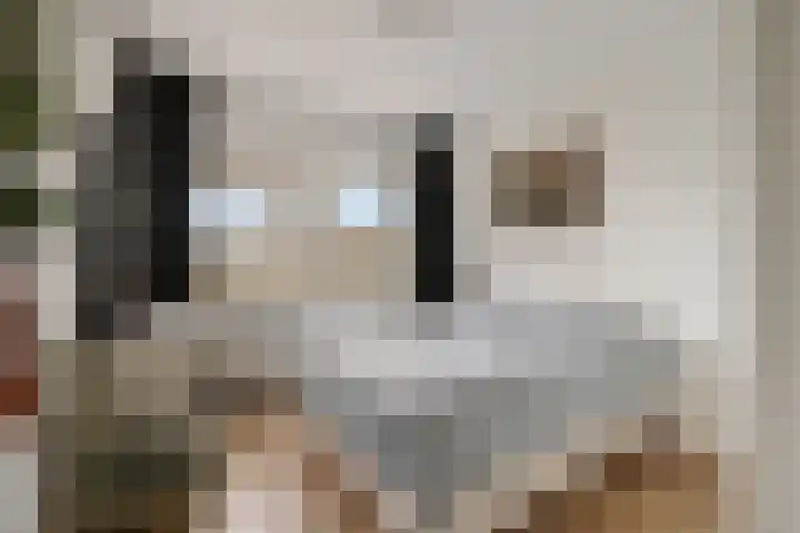 Opaalweg 89 Utrecht thumbnail 21