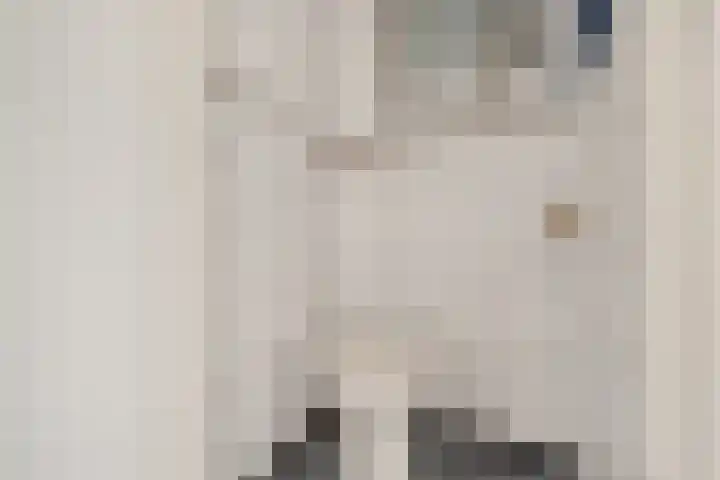 Opaalweg 89 Utrecht thumbnail 27