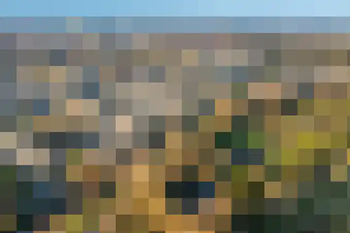 Opaalweg 89 Utrecht thumbnail 32