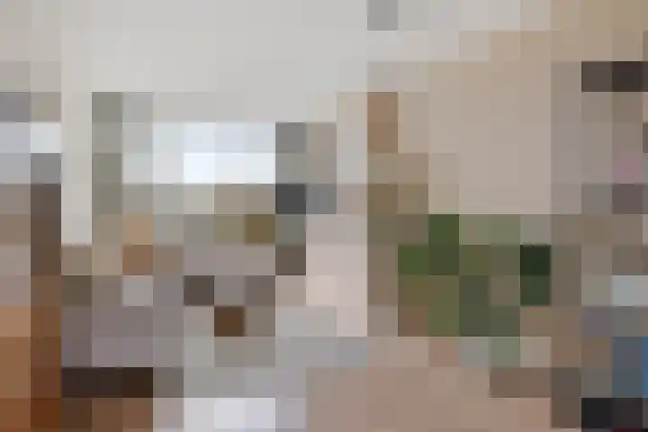 Opaalweg 89 Utrecht thumbnail 5