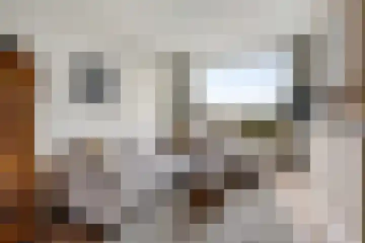 Opaalweg 89 Utrecht thumbnail 6