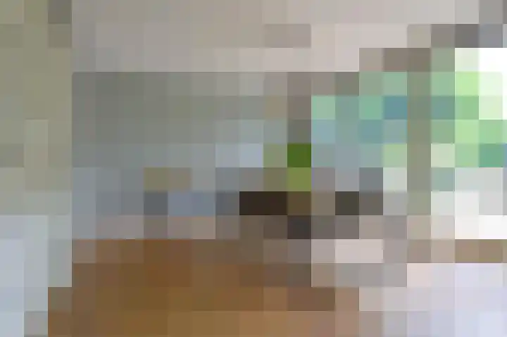 Opal 13 Wageningen thumbnail 10