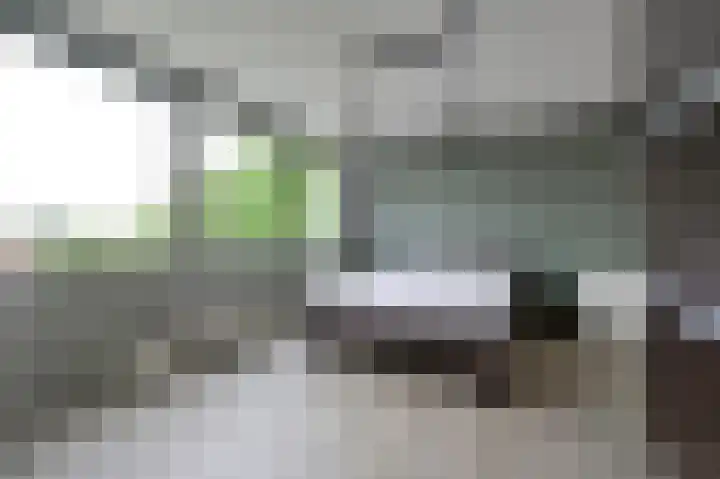 Opal 13 Wageningen thumbnail 16