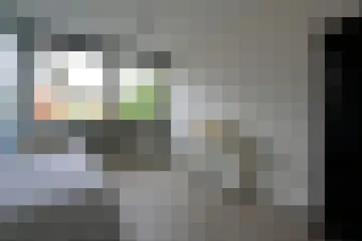 Opal 13 Wageningen thumbnail 20