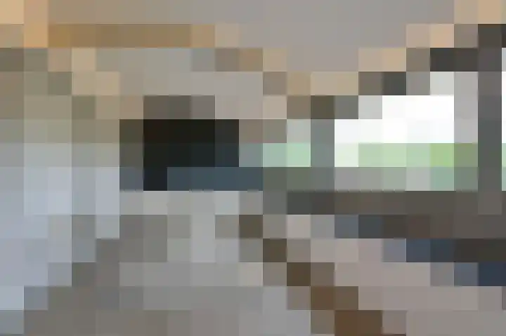 Opal 13 Wageningen thumbnail 23