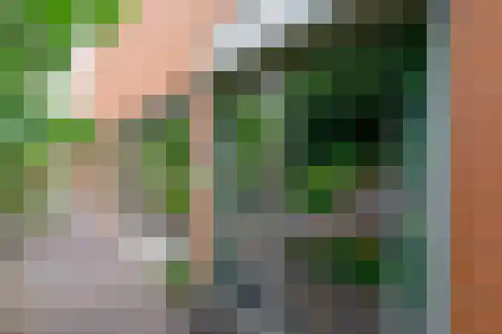 Opal 13 Wageningen thumbnail 33