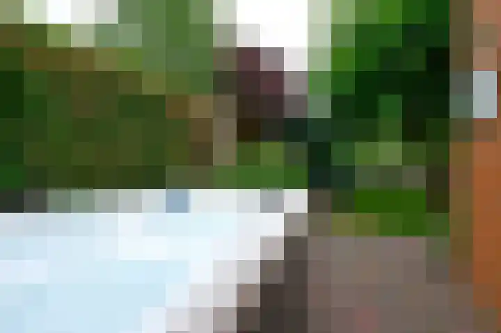 Opal 13 Wageningen thumbnail 37