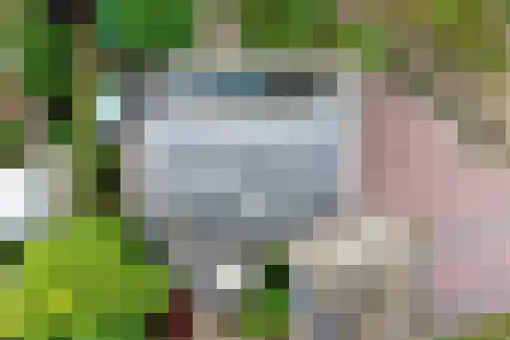 Opal 13 Wageningen thumbnail 39