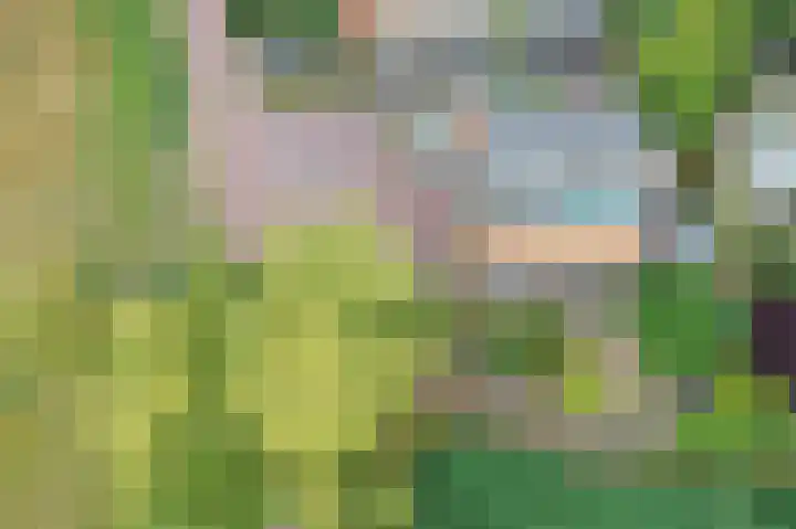 Opal 13 Wageningen thumbnail 40