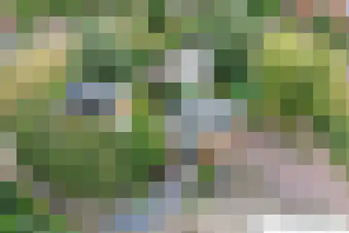 Opal 13 Wageningen thumbnail 41