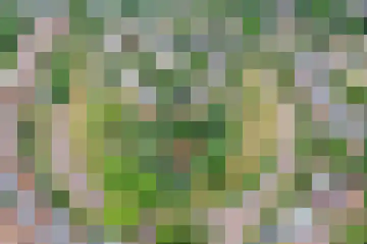 Opal 13 Wageningen thumbnail 42
