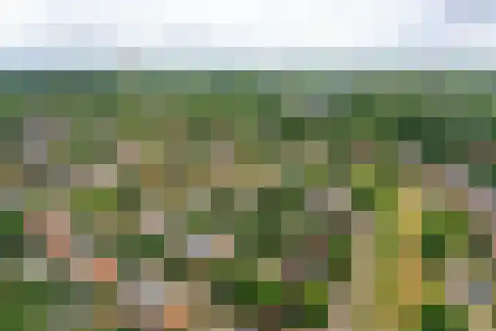 Opal 13 Wageningen thumbnail 43