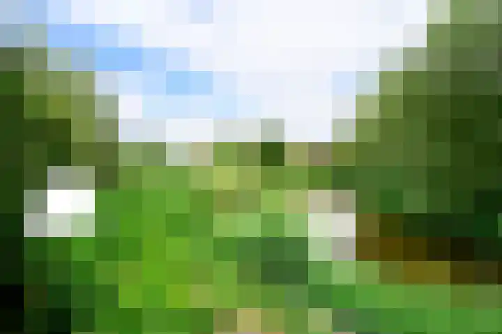 Opal 13 Wageningen thumbnail 5