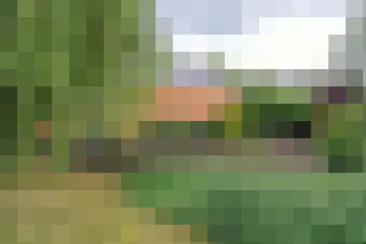 Opal 13 Wageningen thumbnail 6