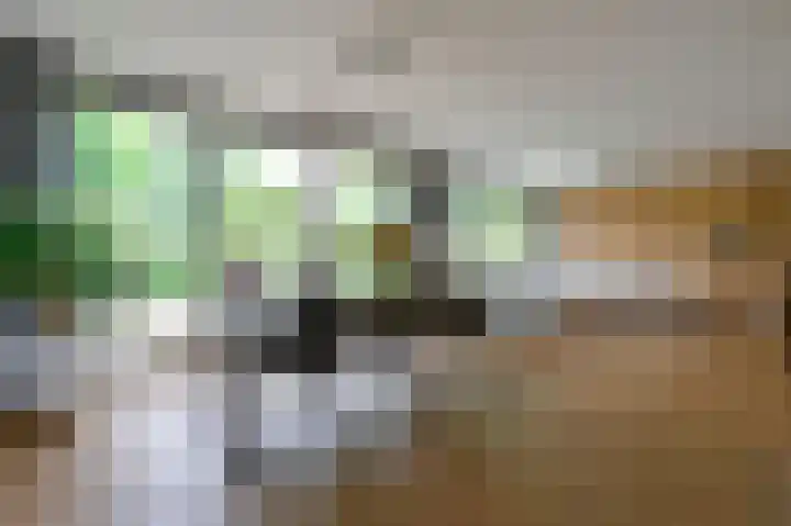 Opal 13 Wageningen thumbnail 8