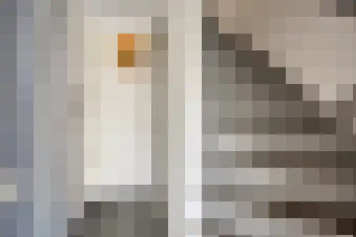 Opalinestraat 15 Maastricht thumbnail 6