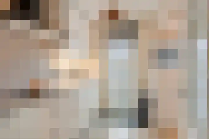 Opalinestraat 21 Maastricht thumbnail 12