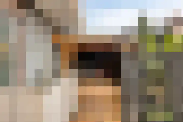 Opalinestraat 21 Maastricht thumbnail 18