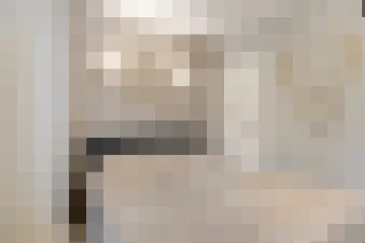 Opalinestraat 21 Maastricht thumbnail 5
