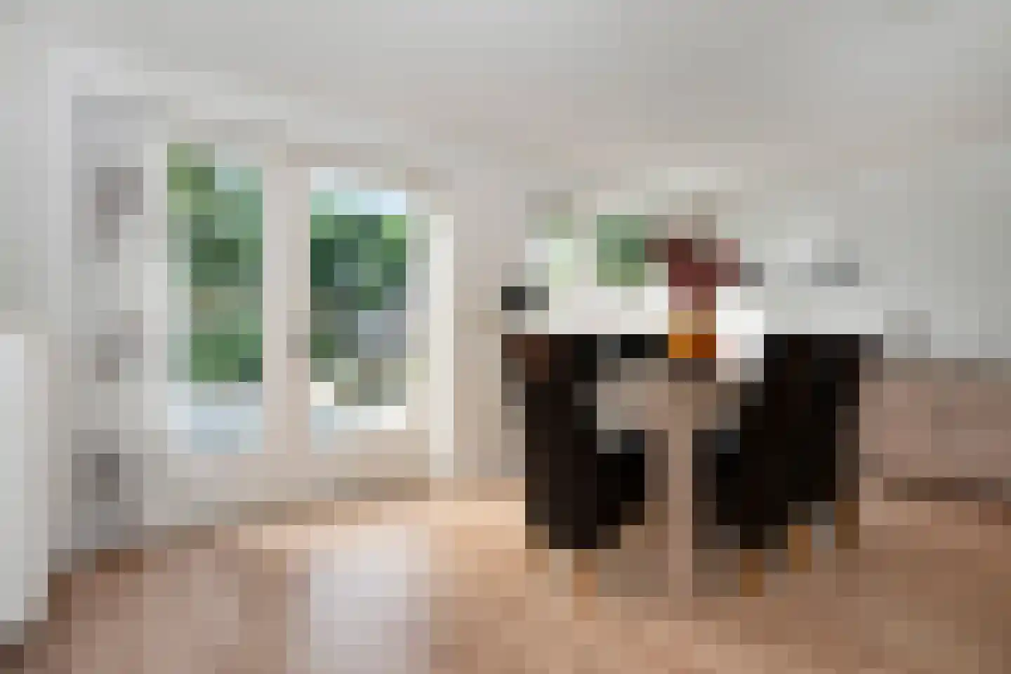 Opbraakstraat 30 Geleen thumbnail 20