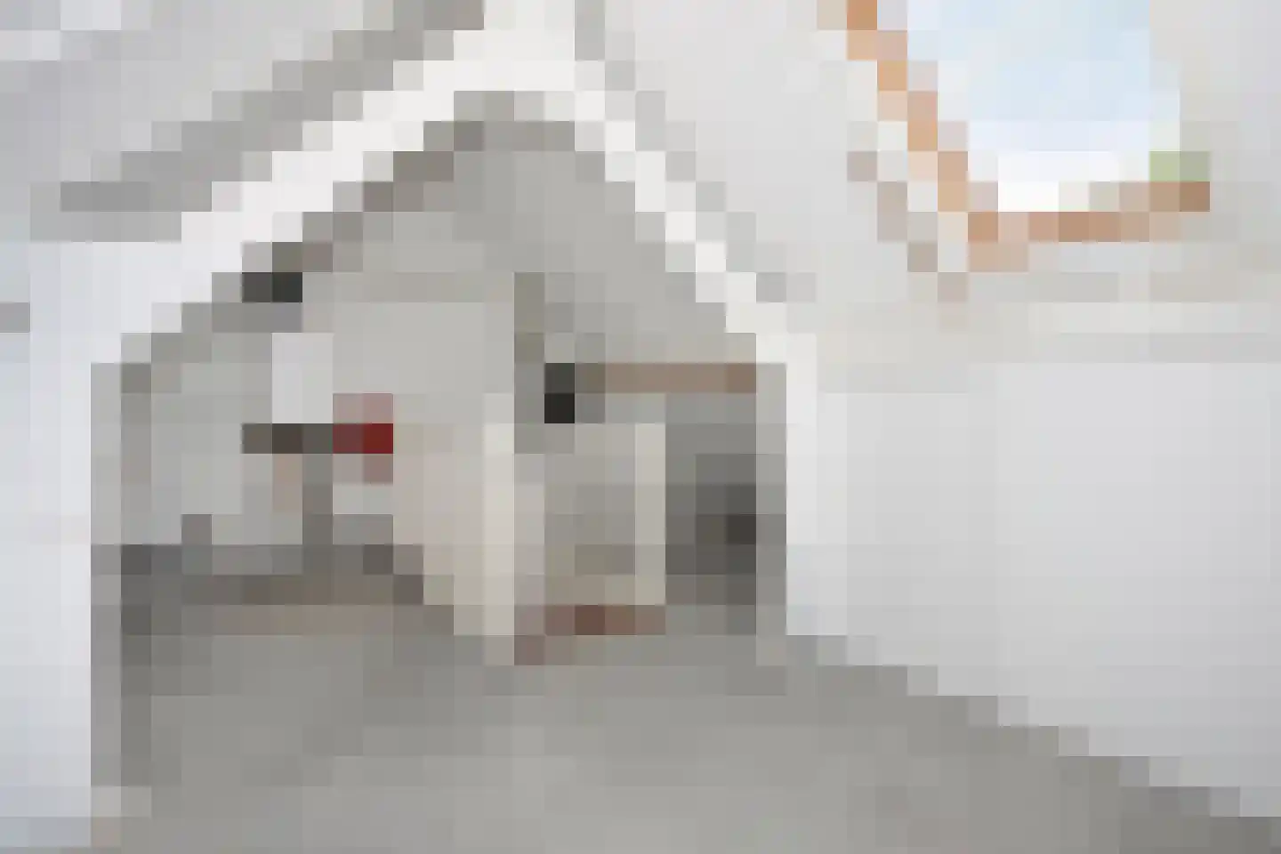 Opbraakstraat 30 Geleen thumbnail 37