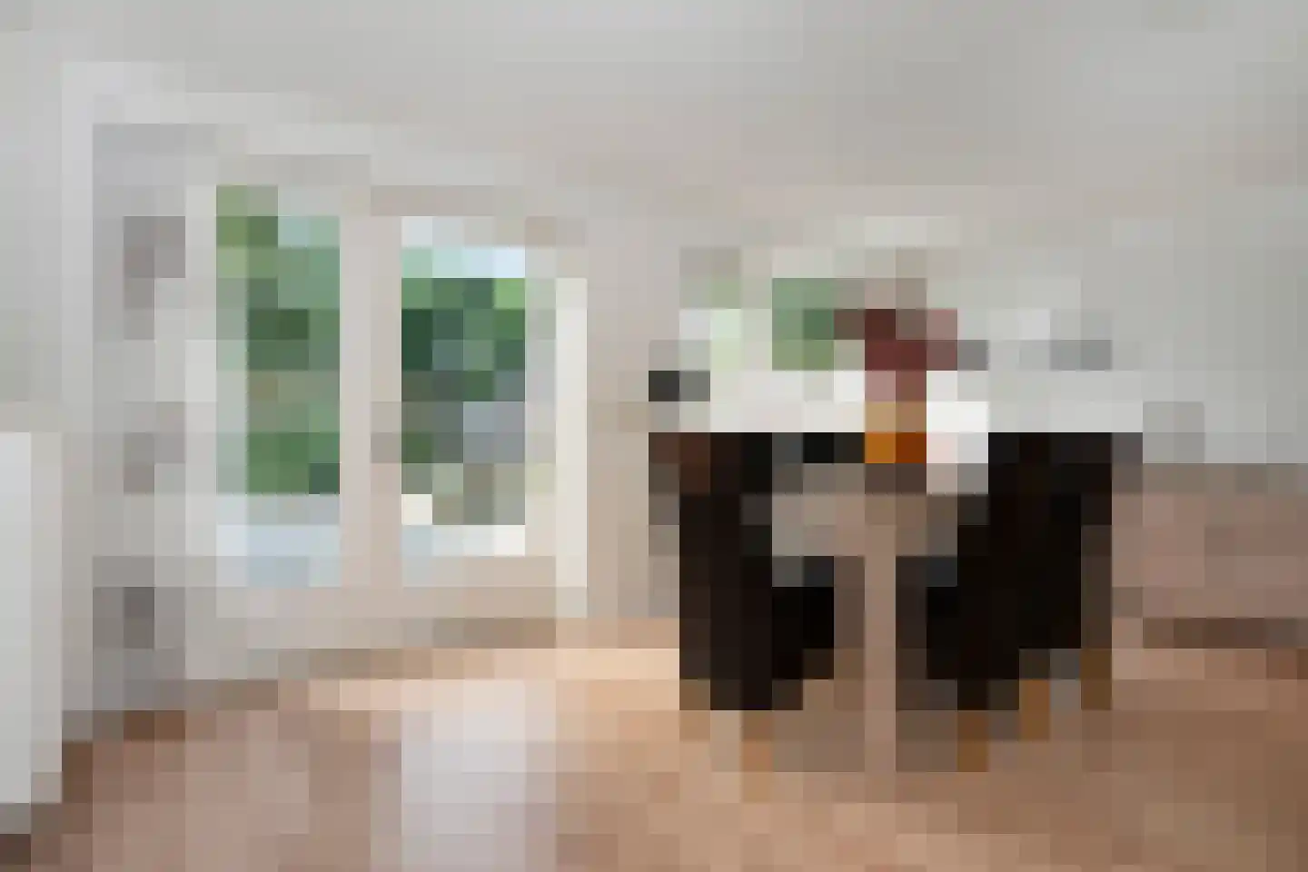 Opbraakstraat 30 Geleen thumbnail 4