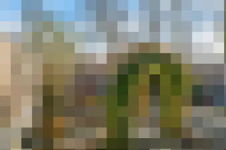 Opbraakstraat 36 Geleen thumbnail 32