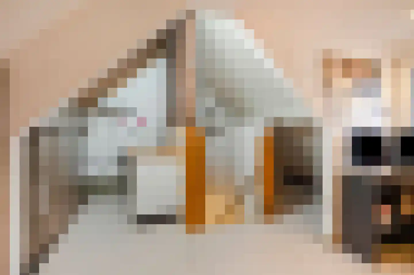 Opbraakstraat 38 Geleen thumbnail 25