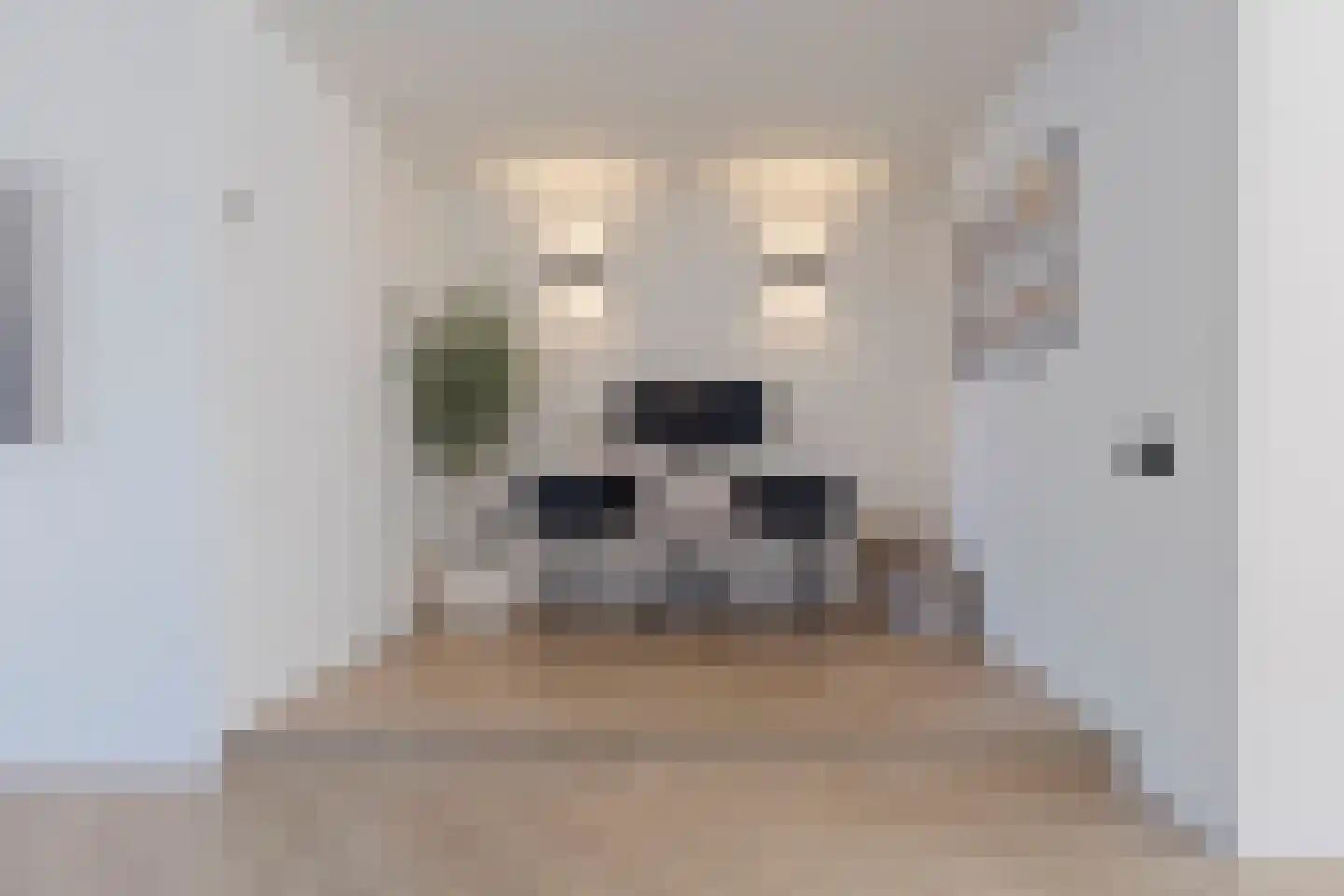 Opbraakstraat 4 Geleen thumbnail 12