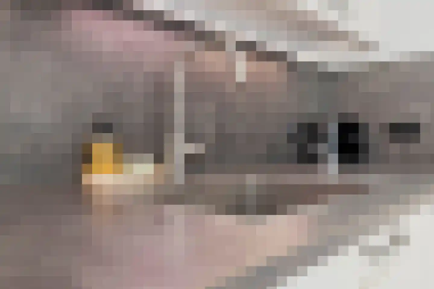 Opbraakstraat 4 Geleen thumbnail 23
