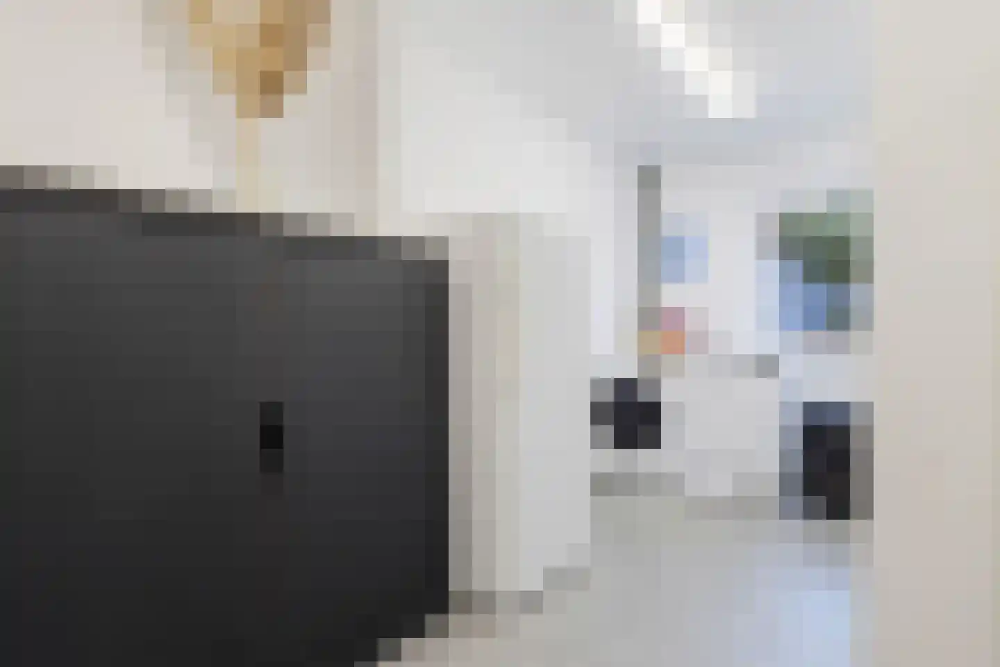 Opbraakstraat 4 Geleen thumbnail 24